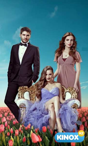 Пора тюльпанов (сериал 2010 – 2014)